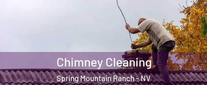 Chimney Cleaning Spring Mountain Ranch - NV