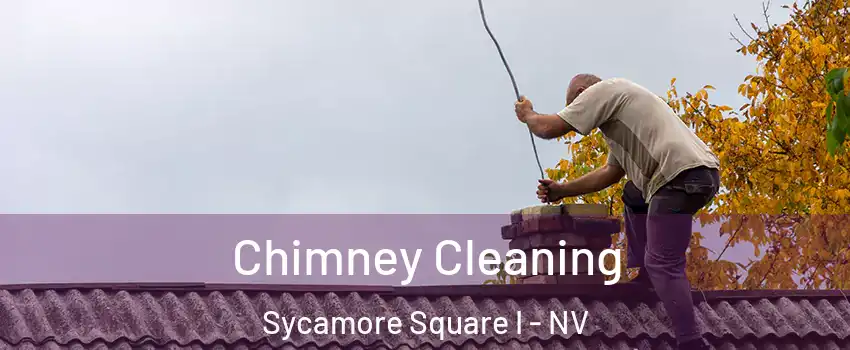 Chimney Cleaning Sycamore Square I - NV
