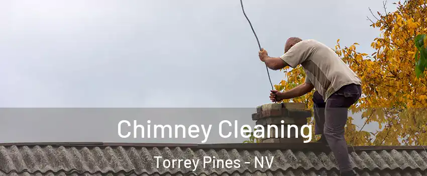 Chimney Cleaning Torrey Pines - NV