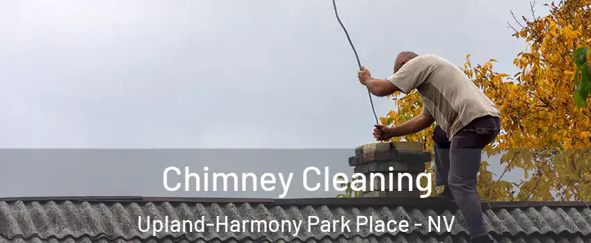 Chimney Cleaning Upland-Harmony Park Place - NV