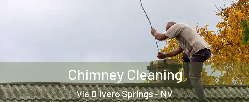 Chimney Cleaning Via Olivero Springs - NV