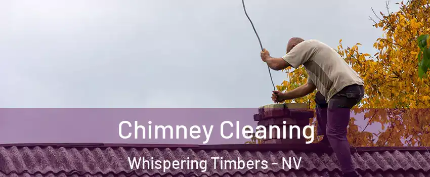 Chimney Cleaning Whispering Timbers - NV