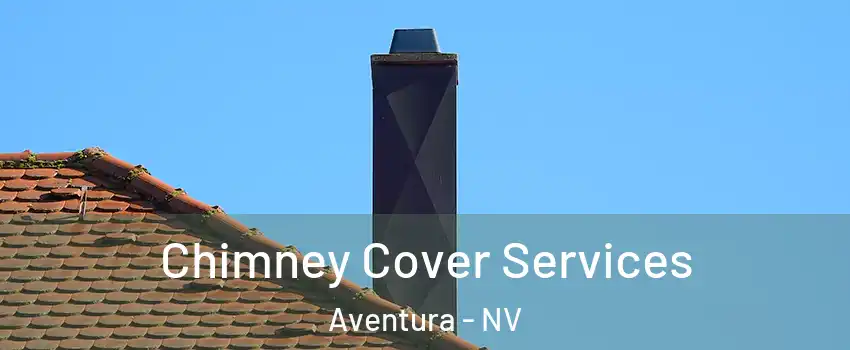 Chimney Cover Services Aventura - NV