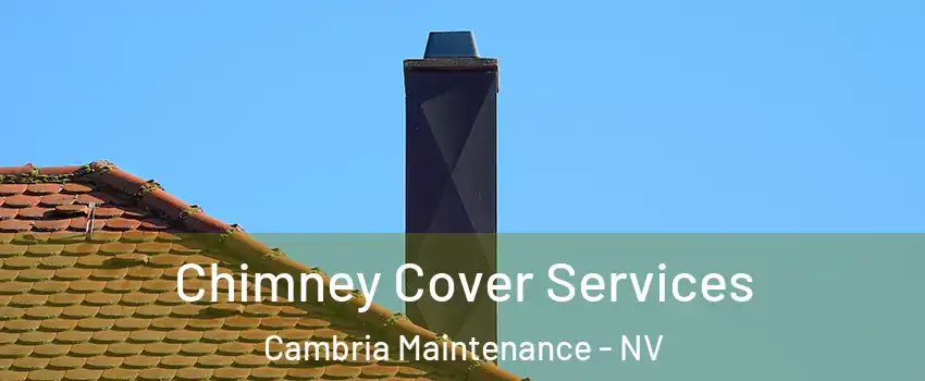 Chimney Cover Services Cambria Maintenance - NV