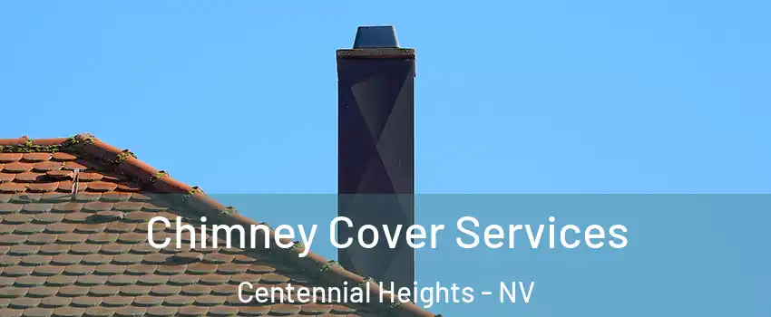 Chimney Cover Services Centennial Heights - NV