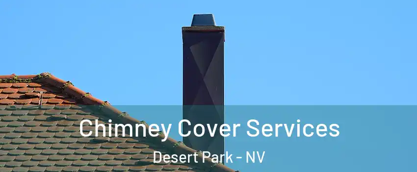 Chimney Cover Services Desert Park - NV