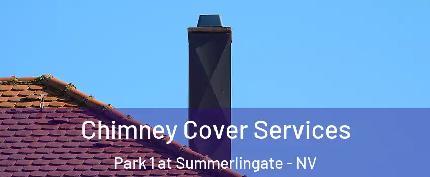 Chimney Cover Services Park 1 at Summerlingate - NV