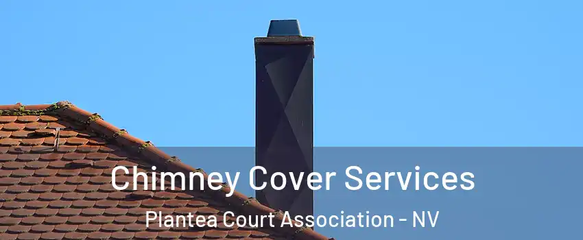 Chimney Cover Services Plantea Court Association - NV