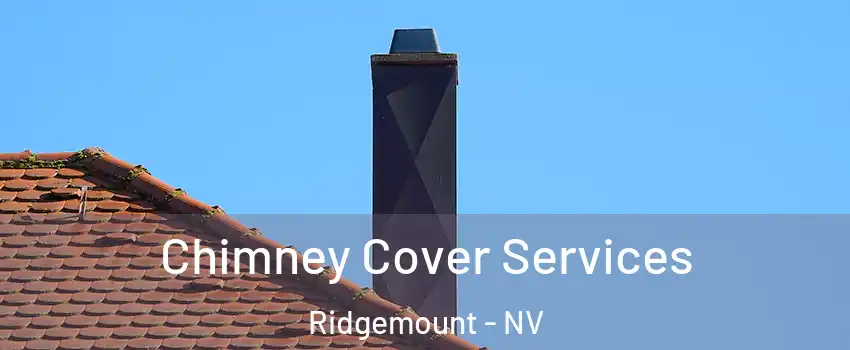 Chimney Cover Services Ridgemount - NV