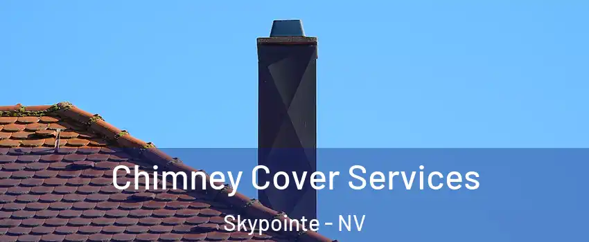 Chimney Cover Services Skypointe - NV