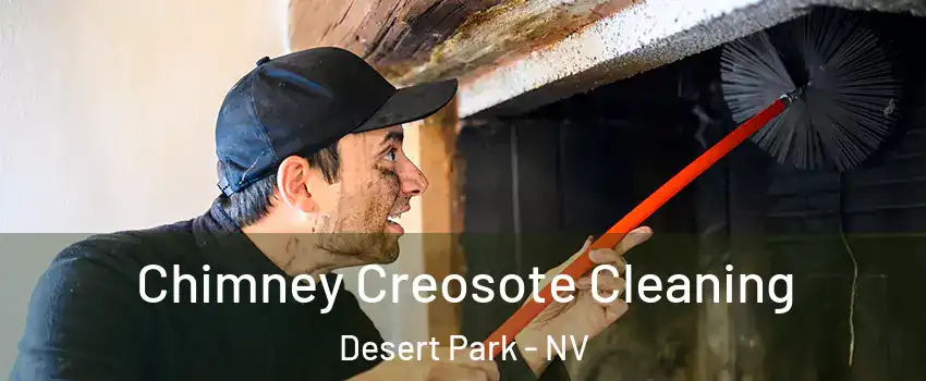 Chimney Creosote Cleaning Desert Park - NV