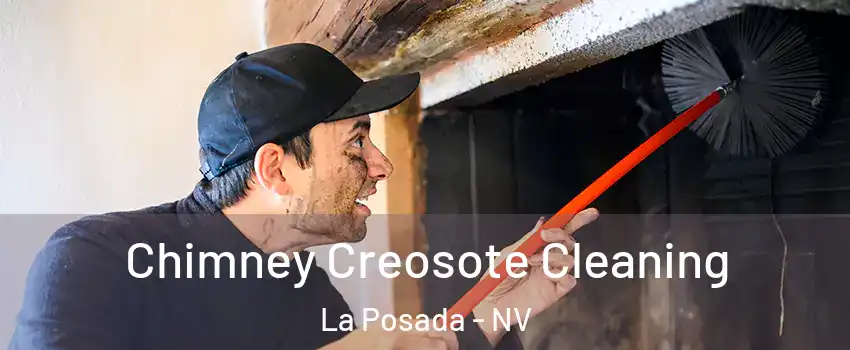 Chimney Creosote Cleaning La Posada - NV