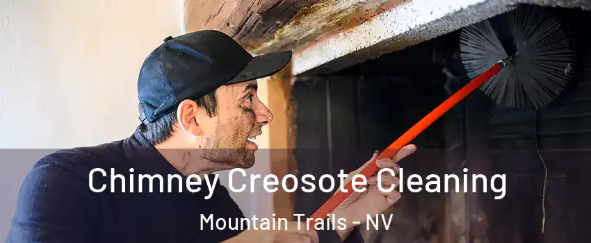 Chimney Creosote Cleaning Mountain Trails - NV