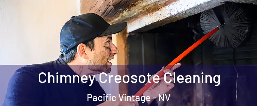 Chimney Creosote Cleaning Pacific Vintage - NV
