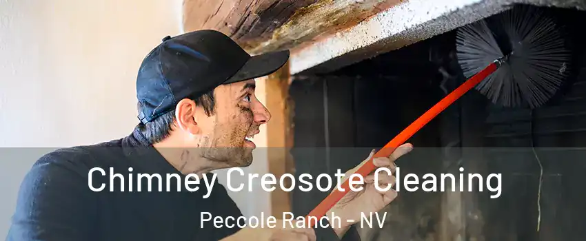 Chimney Creosote Cleaning Peccole Ranch - NV