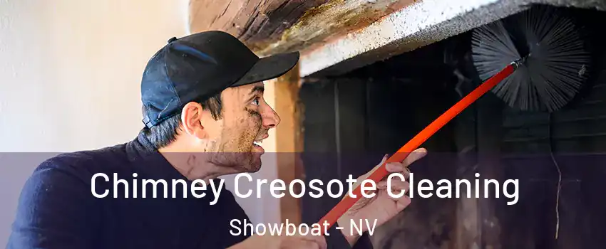 Chimney Creosote Cleaning Showboat - NV