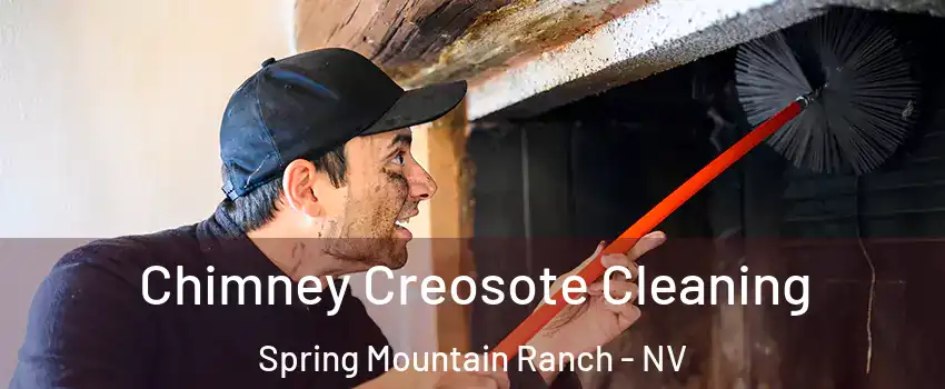 Chimney Creosote Cleaning Spring Mountain Ranch - NV