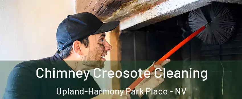 Chimney Creosote Cleaning Upland-Harmony Park Place - NV