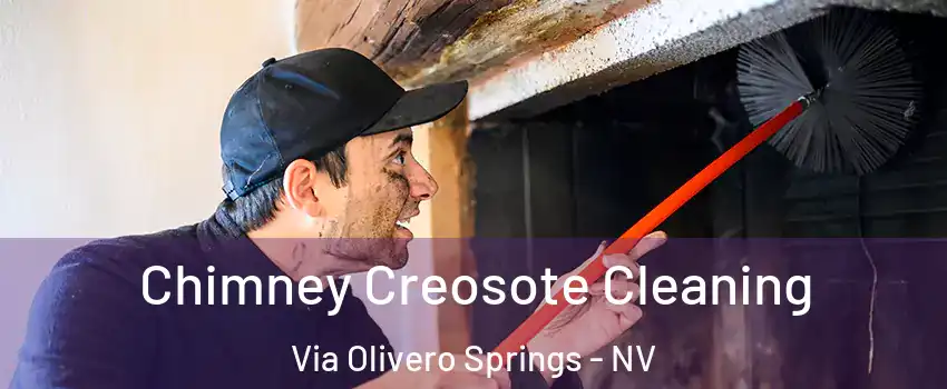 Chimney Creosote Cleaning Via Olivero Springs - NV