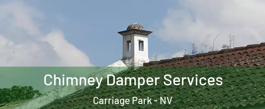 Chimney Damper Services Carriage Park - NV