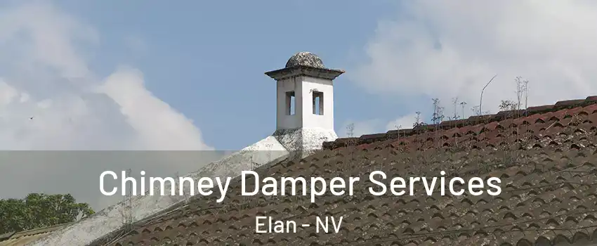 Chimney Damper Services Elan - NV