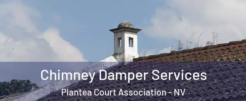 Chimney Damper Services Plantea Court Association - NV