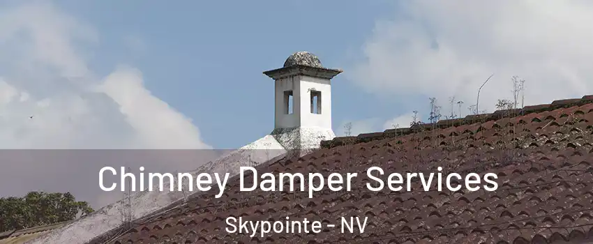 Chimney Damper Services Skypointe - NV