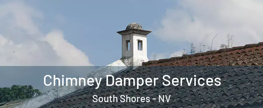 Chimney Damper Services South Shores - NV