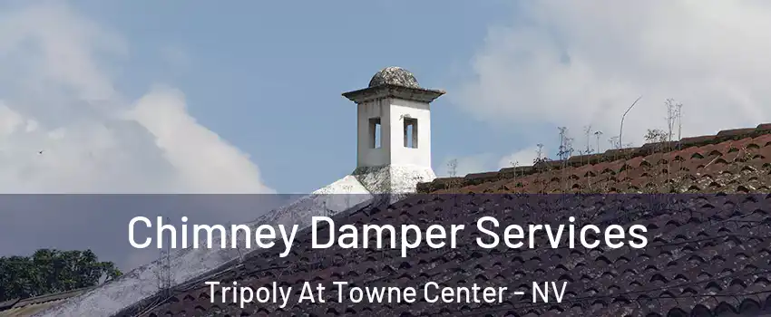 Chimney Damper Services Tripoly At Towne Center - NV