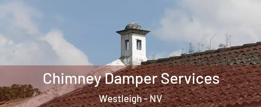 Chimney Damper Services Westleigh - NV