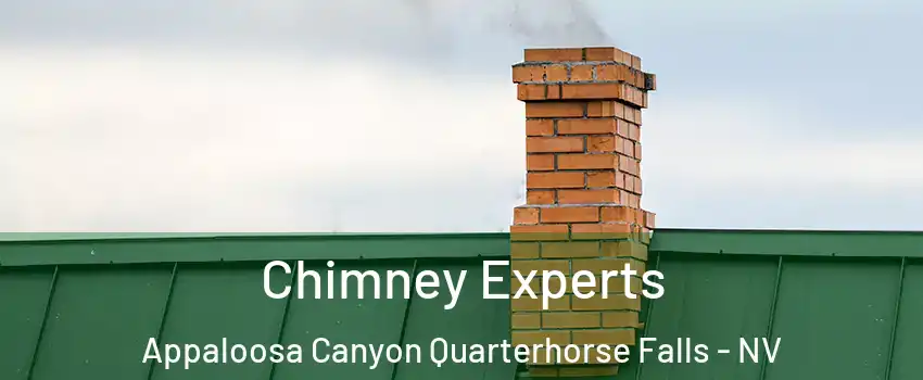 Chimney Experts Appaloosa Canyon Quarterhorse Falls - NV