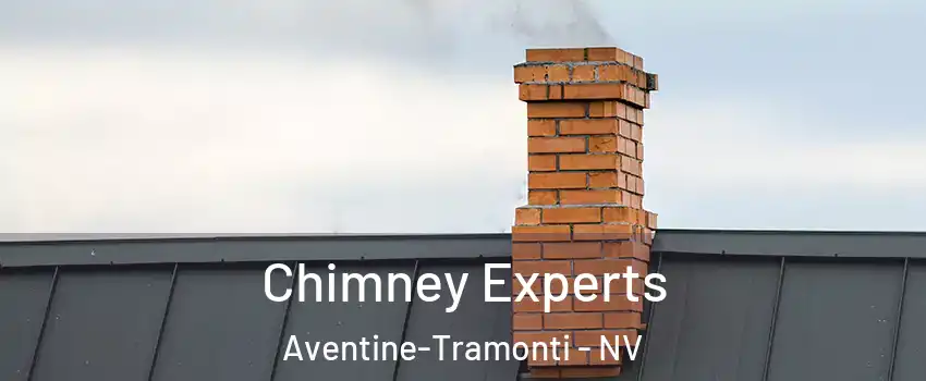 Chimney Experts Aventine-Tramonti - NV