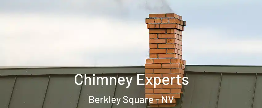 Chimney Experts Berkley Square - NV