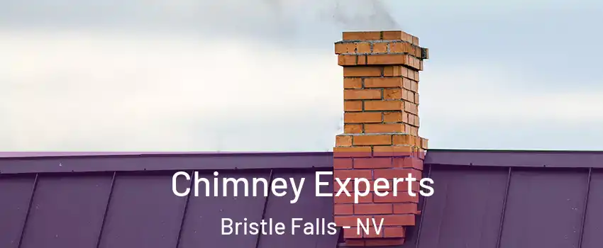 Chimney Experts Bristle Falls - NV