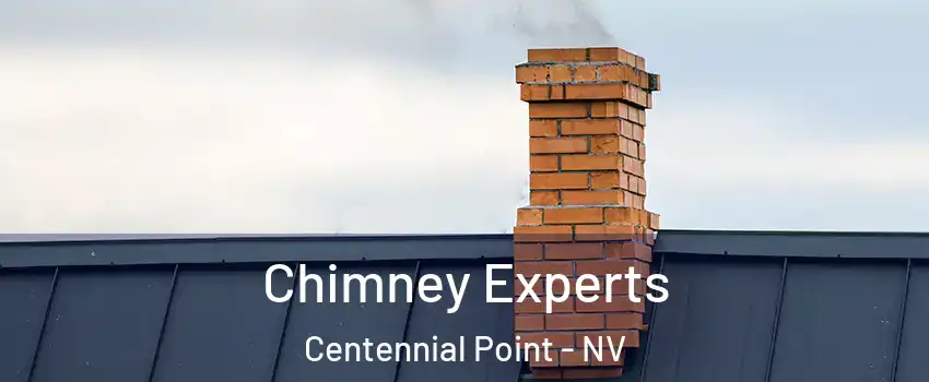 Chimney Experts Centennial Point - NV