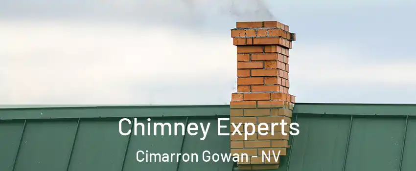Chimney Experts Cimarron Gowan - NV