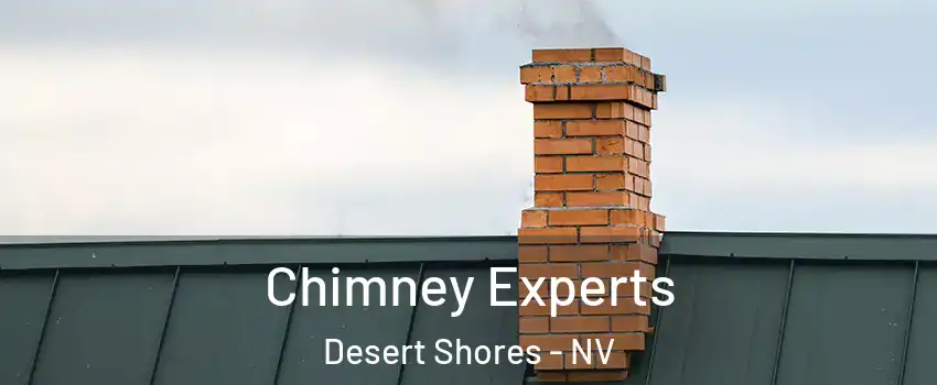 Chimney Experts Desert Shores - NV