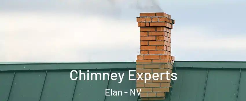Chimney Experts Elan - NV