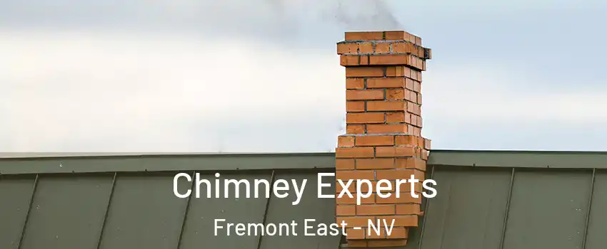 Chimney Experts Fremont East - NV