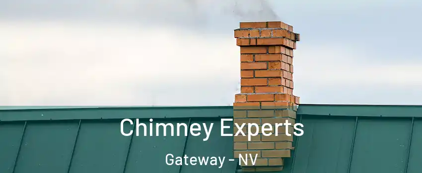 Chimney Experts Gateway - NV