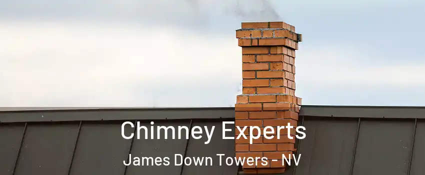 Chimney Experts James Down Towers - NV