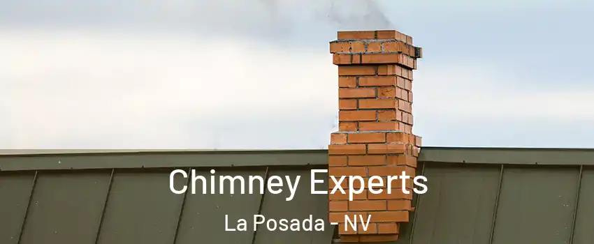 Chimney Experts La Posada - NV