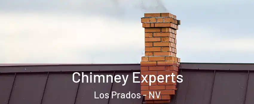 Chimney Experts Los Prados - NV