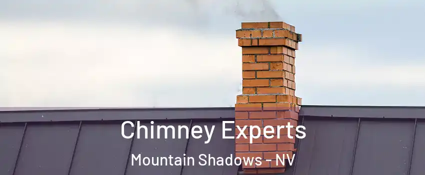 Chimney Experts Mountain Shadows - NV