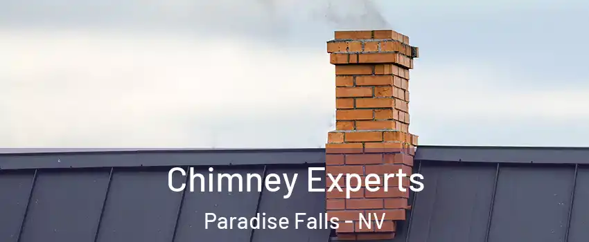 Chimney Experts Paradise Falls - NV