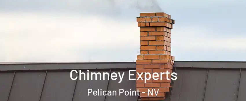 Chimney Experts Pelican Point - NV