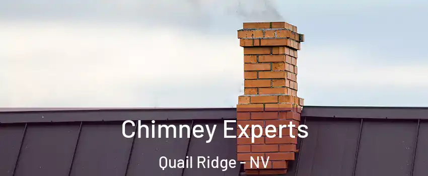 Chimney Experts Quail Ridge - NV