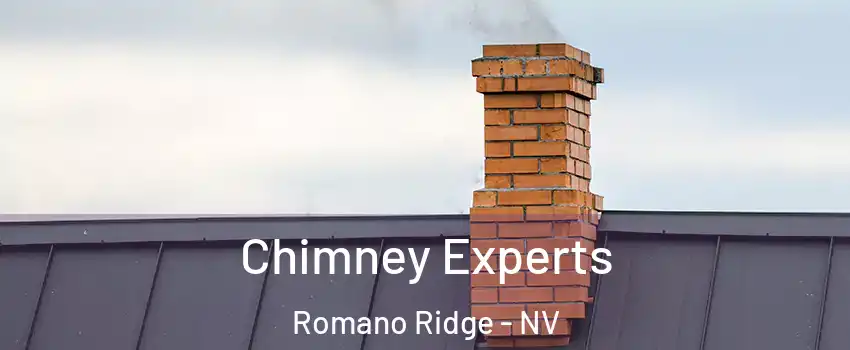 Chimney Experts Romano Ridge - NV