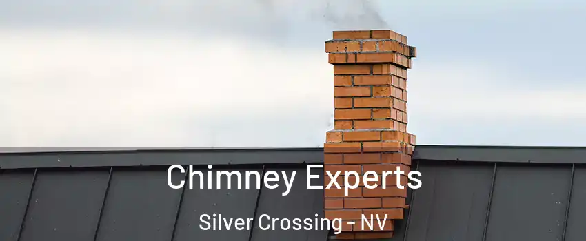 Chimney Experts Silver Crossing - NV