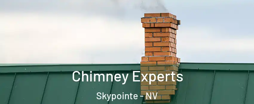 Chimney Experts Skypointe - NV